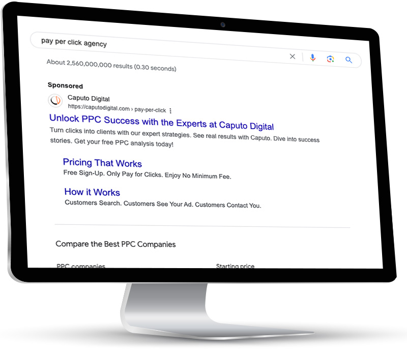 search results screens showing PPC information in results