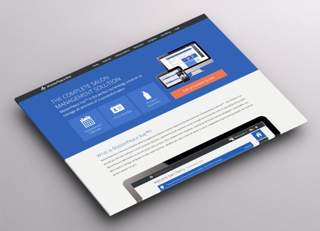 Promotion Website Development